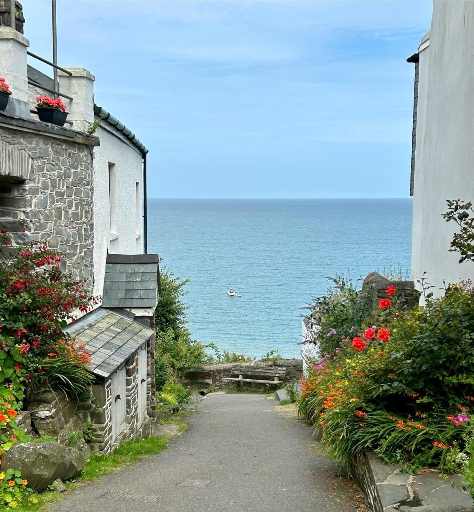 Cosy Boathouse Cottage By The Sea With Log Burner Bucks Mills Kültér fotó