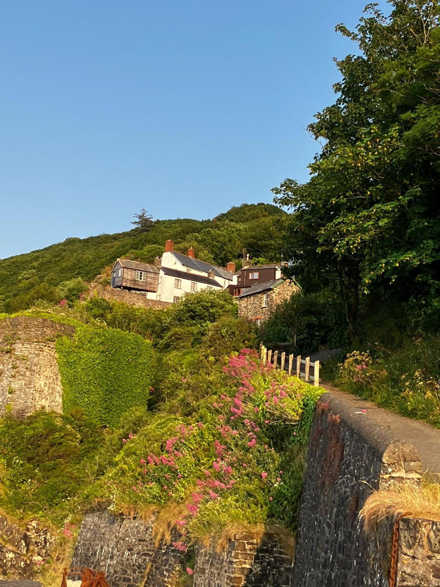 Cosy Boathouse Cottage By The Sea With Log Burner Bucks Mills Kültér fotó