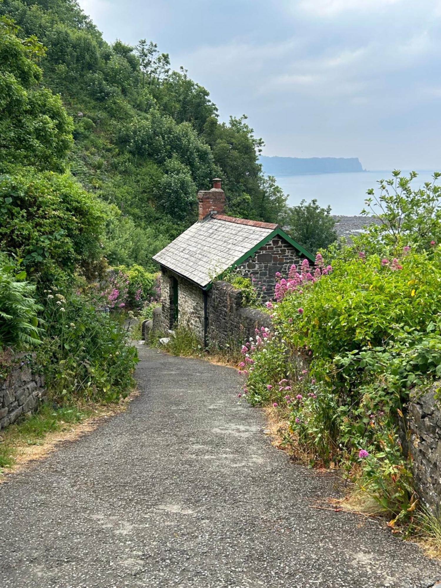 Cosy Boathouse Cottage By The Sea With Log Burner Bucks Mills Kültér fotó